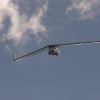 BaWü Airgames 2010