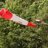 BaWue Airgames 2012