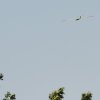 BaWue Airgames 2012