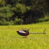 BaWue Airgames 2012