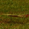BaWue Airgames 2012