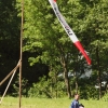 BaWue Airgames 2012