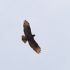 BaWue Airgames 2012