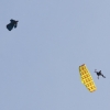 BaWue Airgames 2012