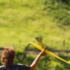 BaWue Airgames 2012