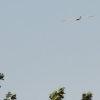 BaWue Airgames 2012