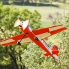 BaWue Airgames 2012