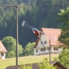 BaWue Airgames 2012