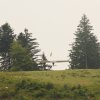 BaWue Airgames 2012
