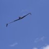 BaWue Airgames 2012