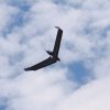 BaWue Airgames 2012