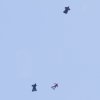 BaWue Airgames 2012
