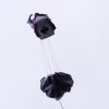 BaWue Airgames 2012