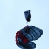 BaWue Airgames 2012