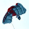 BaWue Airgames 2012
