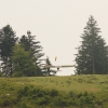 BaWue Airgames 2012