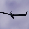 BaWue Airgames 2012