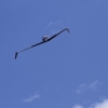 BaWue Airgames 2012