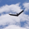 BaWue Airgames 2012