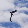 BaWue Airgames 2012