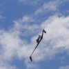BaWue Airgames 2012