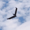 BaWue Airgames 2012