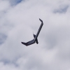 BaWue Airgames 2012