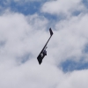 BaWue Airgames 2012