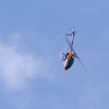 BaWue Airgames 2012