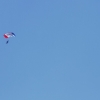 BaWue Airgames 2012