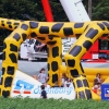 BaWue Airgames 2012