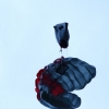 BaWue Airgames 2012