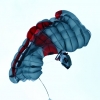 BaWue Airgames 2012