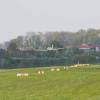 Berblinger Flugwettbewerb 2011