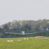 Berblinger Flugwettbewerb 2011