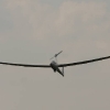 Berblinger Flugwettbewerb 2011