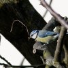 img_5704