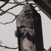 img_5863