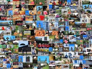 Blühendes Barock Ludwigsburg