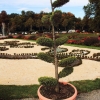 Blühendes Barock Ludwigsburg