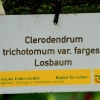 Blühendes Barock Ludwigsburg
