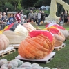 Blühendes Barock Ludwigsburg