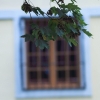 Blühendes Barock Ludwigsburg