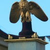 Blühendes Barock Ludwigsburg