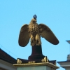 Blühendes Barock Ludwigsburg