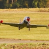 1dfh-bb09-082