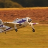 1dfh-bb09-094