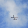 Böblinger Modellflugtag 27.09.2015