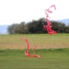 Böblinger Modellflugtag 27.09.2015