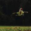 Böblinger Modellflugtage 28.09.2014